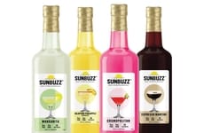 Cocktail-Inspired Hemp-Derived Beverages