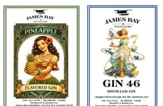 Flavorful Gin Innovations