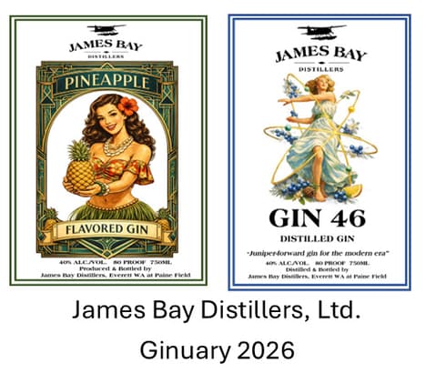 Flavorful Gin Innovations