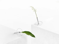 Floating Stem Vases Image 3