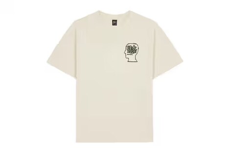 Japan New Year Capsule