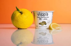 Refreshing Skyr Yogurt Snacks