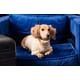 Pet-Friendly Presidential Stays Image 1