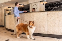 Pet-Friendly Presidential Stays Image 3