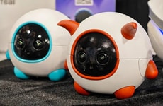 Self-Editing Pet Companion Robots