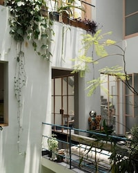 Plant-Filled Home Renovations Image 2