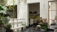 Plant-Filled Home Renovations Image 3