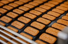 Cookie Ice Cream Sandwiches