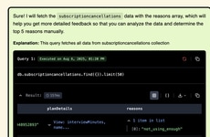 AI Database Assistants