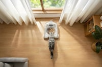 AI-Assited Pet Feeding Devices