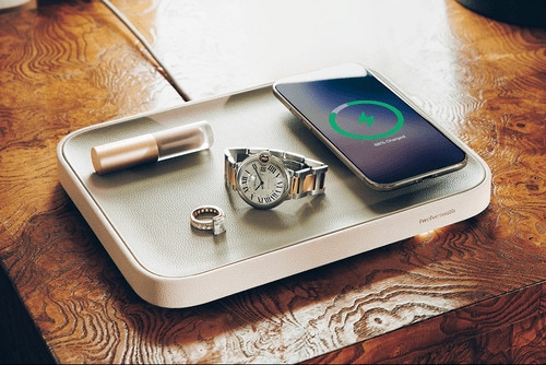 Leather Charging Systems