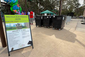 Zoo-Backed Electronic Drives Article Thubnail