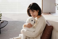 Interactive Companionship Robotic Dogs