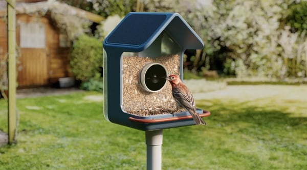 Smart Bird Feeders