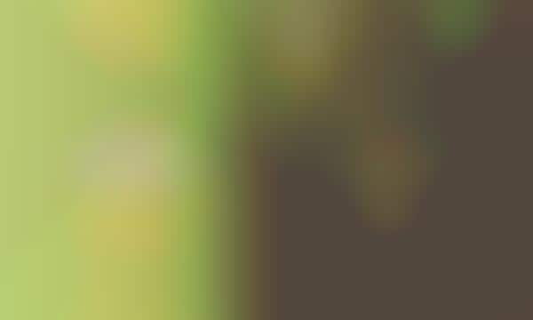 Cheeky AI-Backed Avocado Campaigns