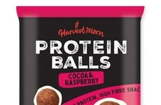 Ready-to-Snack Protein Bites