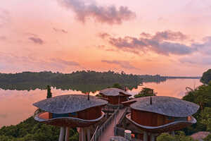 Rainforest Resort Debuts Article Thubnail