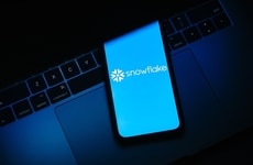 Enterprise AI Partnerships