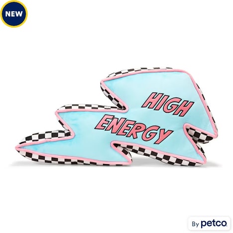 Zoomie-Inducing Dog Toys