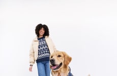 Canine-Focused Wintertime Wellness Campaigns