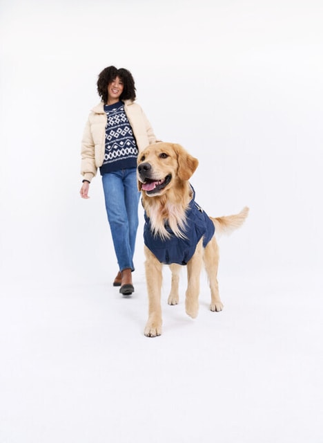 Canine-Focused Wintertime Wellness Campaigns