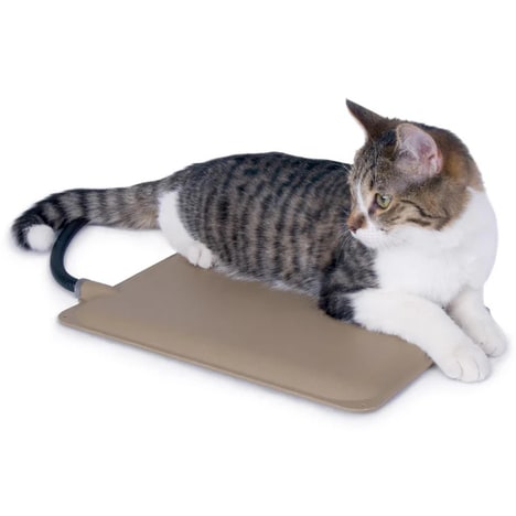 Thermostatic Cat Beds