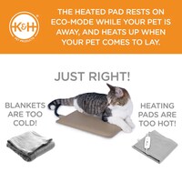 Thermostatic Cat Beds Image 2