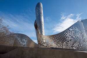 City Christmas Tree Cleanups Article Thubnail