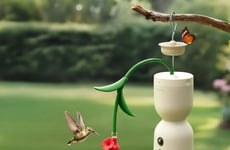 Hummingbird Camera Feeders