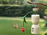 Hummingbird Camera Feeders