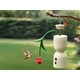 Hummingbird Camera Feeders Image 1