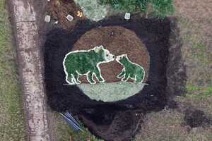 Tree-Made Zoo Sculptures Article Thubnail