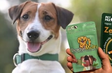 Dissolving Canine Wellness Products