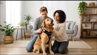 Smart Canine Wellness Systems Image 1