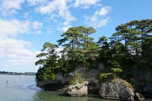 Conscious Waste Practices Article Thubnail