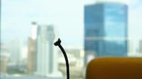 Adaptive Autofocus Eyewear Image 3