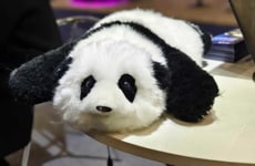 Biomimetic Companion Pandas