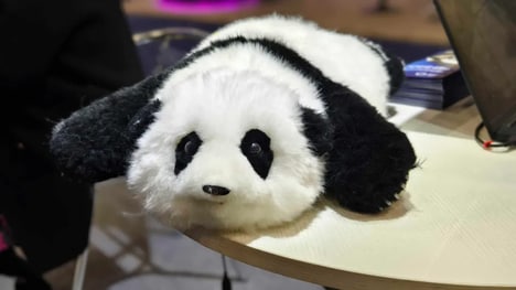 Biomimetic Companion Pandas