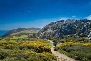 Slow Transportation Efforts Article Thubnail