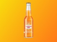 Fruity Cane-Sugar Sodas