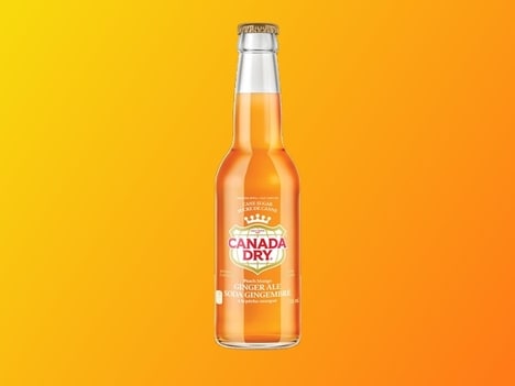 Fruity Cane-Sugar Sodas