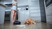Transforming Robotic Vacuuming Systems Image 2