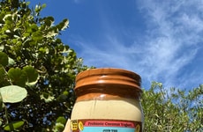 Probiotic Protein Yogurts