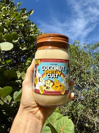 Probiotic Protein Yogurts