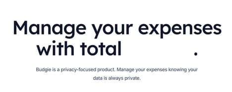 Privacy Budget Managers