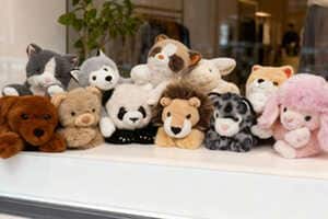 Eco-Friendly Plushie Lines Article Thubnail