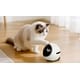 Automated Pet Companion Robots Image 1