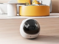 Automated Pet Companion Robots Image 6
