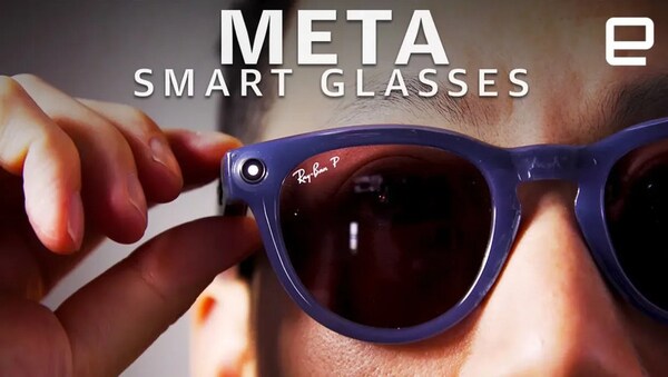 Integrated Pest-Monitoring Glasses