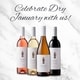 Premium Alcohol-Free Wines Image 1